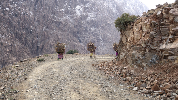 Berber women collecting firewood